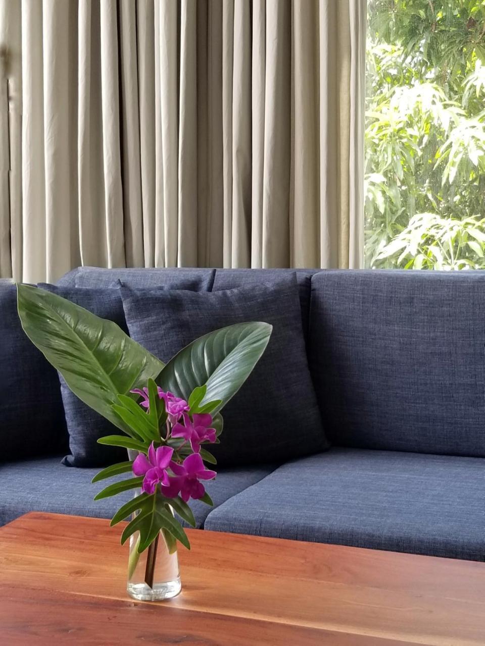 Angkor Siesta Villa سيام ريب المظهر الخارجي الصورة